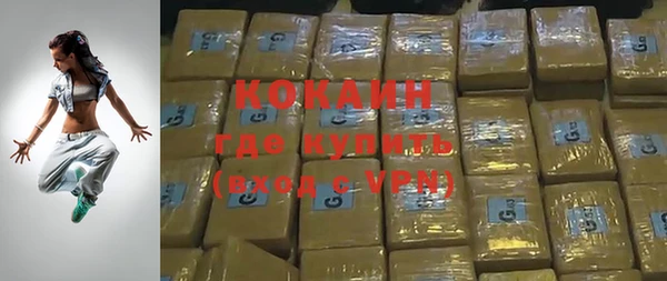 гидра Арсеньев