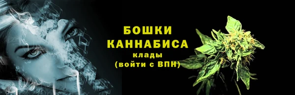 гидра Арсеньев