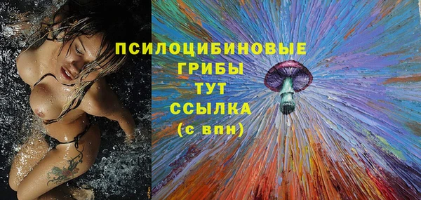 прущие грибы Балабаново
