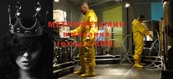 прущие грибы Балабаново